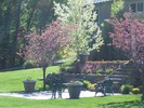 gallery/small/0 (35)-Gardeners-Bellevue-Idaho.jpg